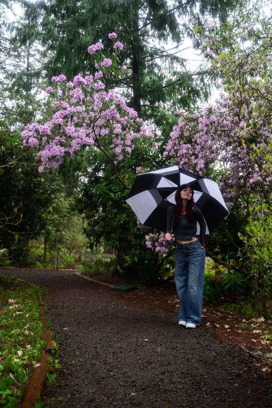 She brings the rain, it feels like spring 💦🍄