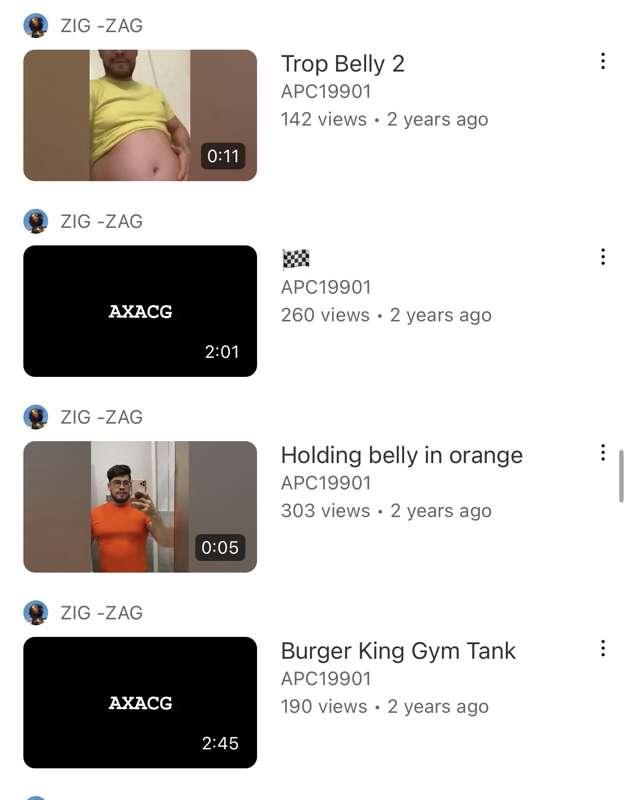 Adding my videos to your Youtube playlists