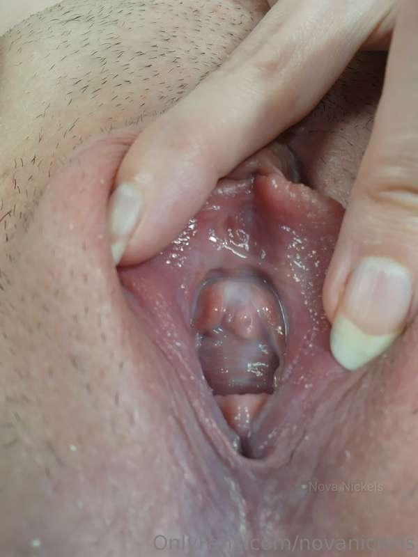 novanickels image #4