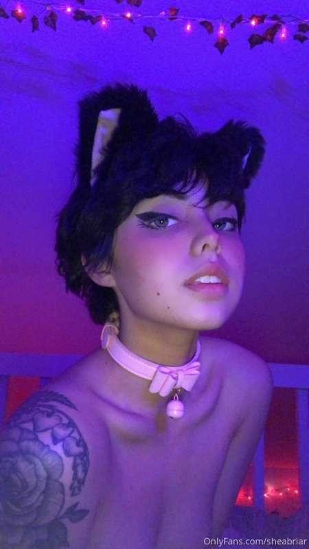 throwback to that time i looked cute af with my kitty ears n..