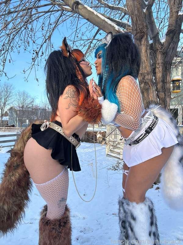bunniblack image #1