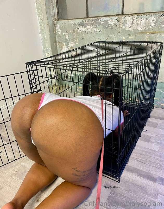 This bitch needs punishing 😈