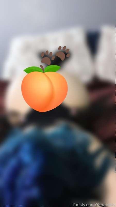 yanabells image #0