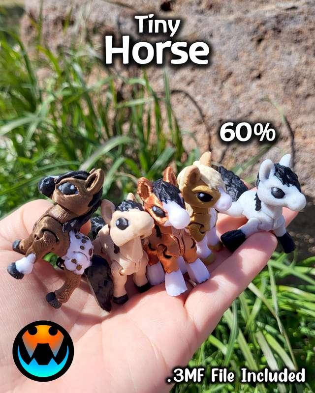 Tiny Horse!