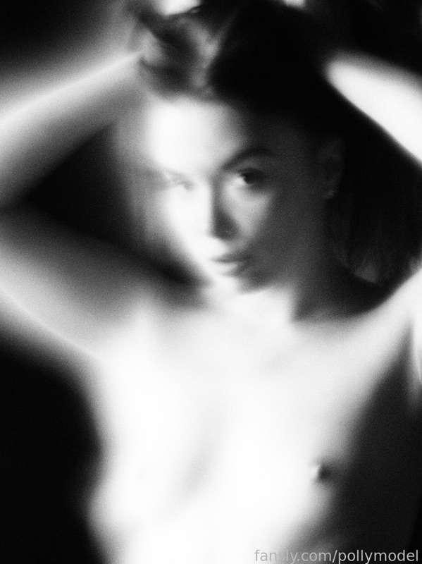 pollymodel image #1