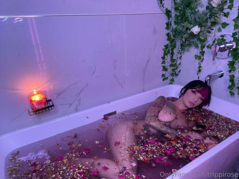 trippirose image #11