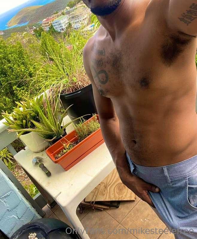 mikesteelefree image #0