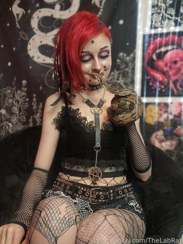 thelabrat image #3