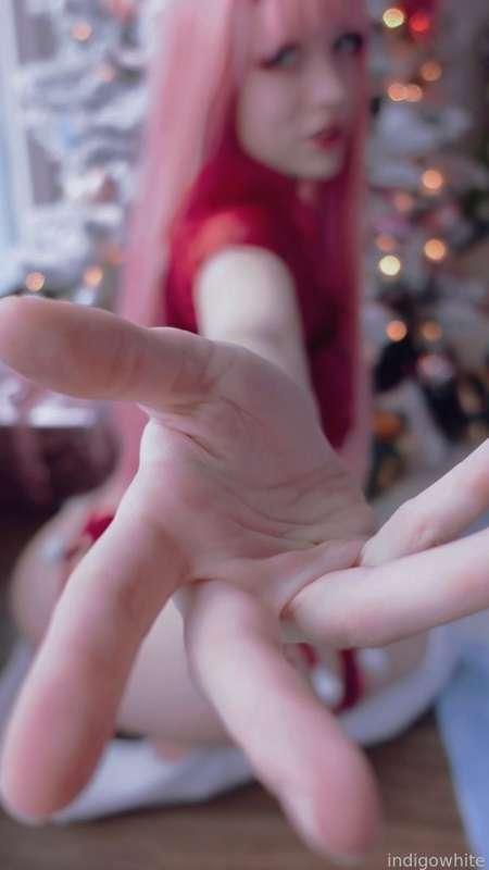 indigowhite image #136