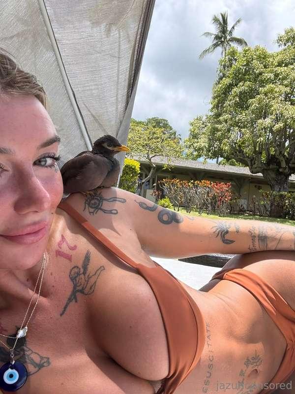 Say hi to my new sidekick 🐦💛