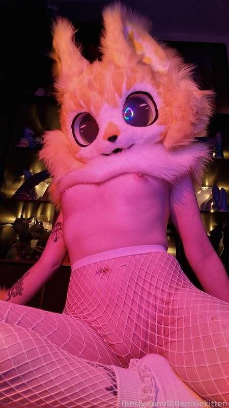 littlepixiekitten image #5
