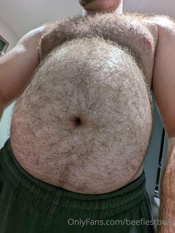 beefiestbear image #0