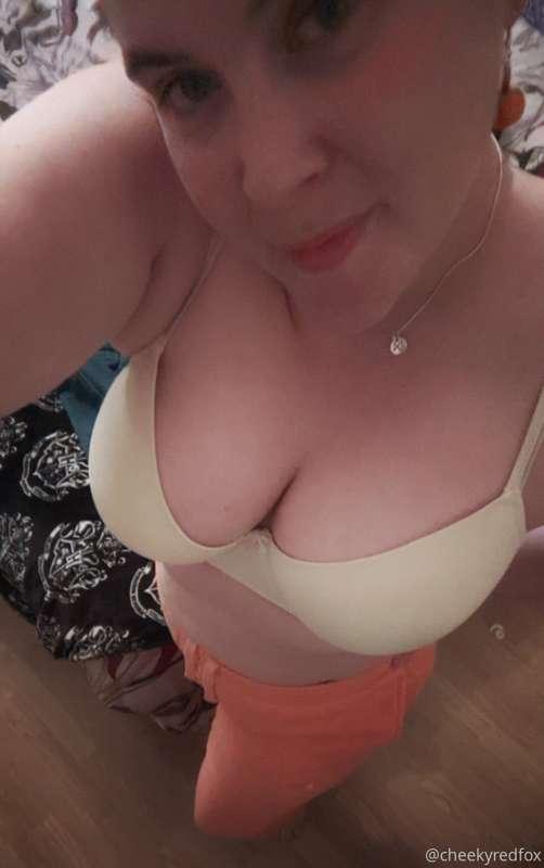 cheekyredfox image #0