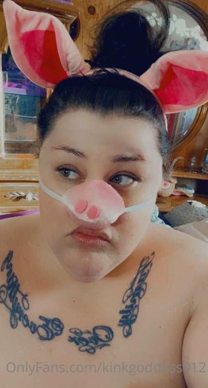Want to see more piggy videos???