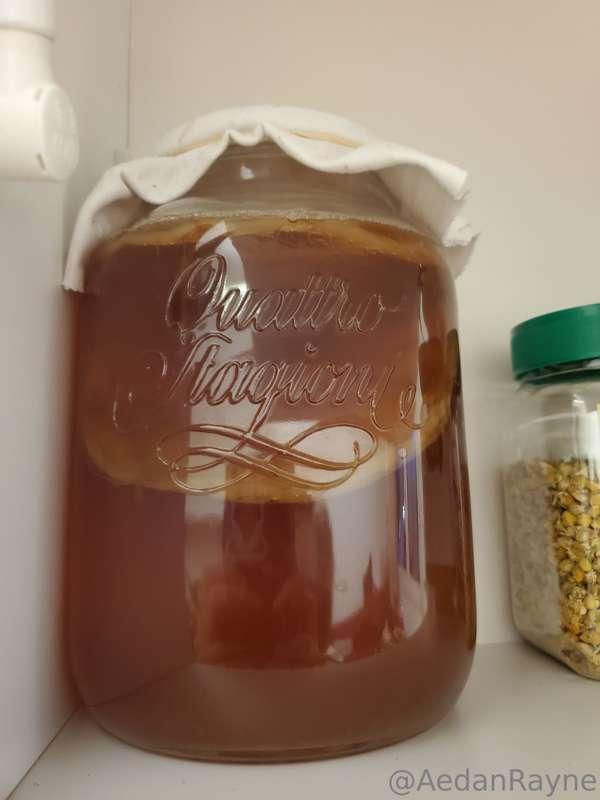 My second batch of Kombucha! 

My first batch was sooo good,..