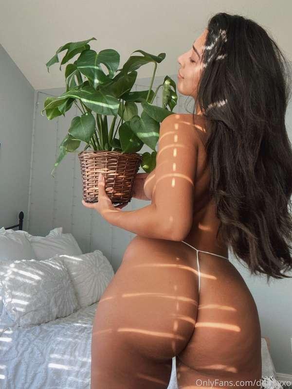 Plants are thriving 😍✨🌱🌿🪴