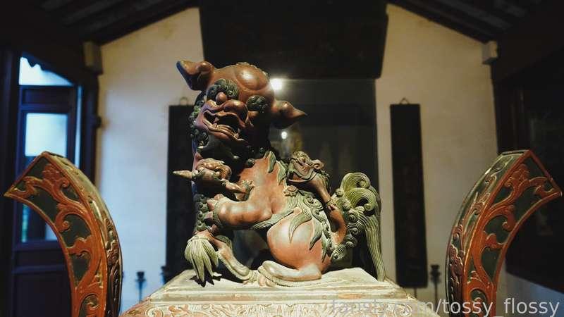 tossy_flossy image #0