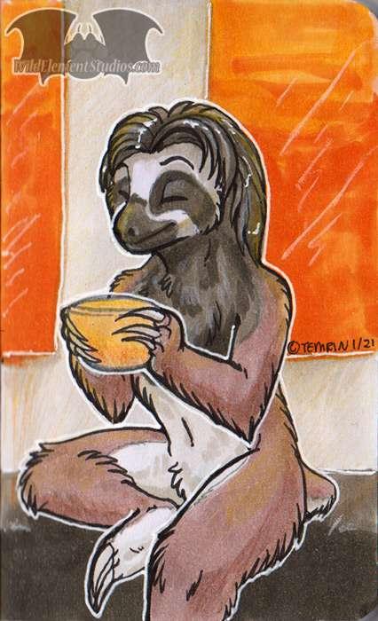 AAP - Three Toed Sloth / Cozy Coffee Shop