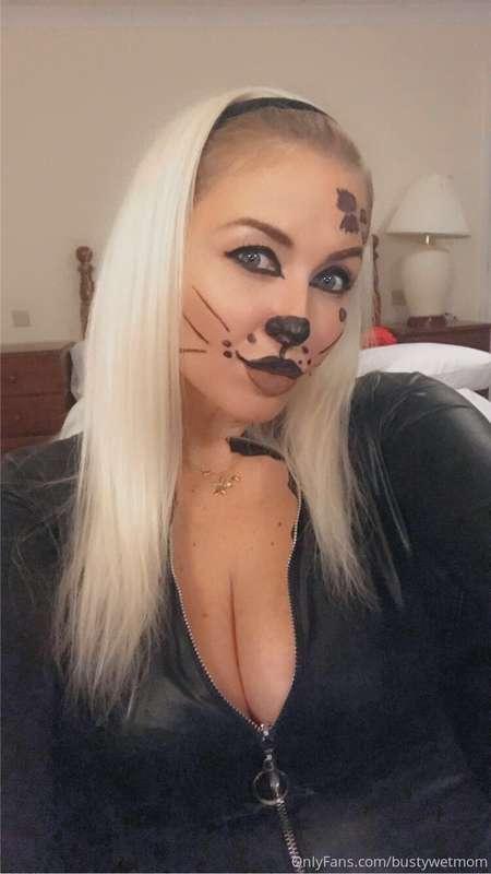 cat woman