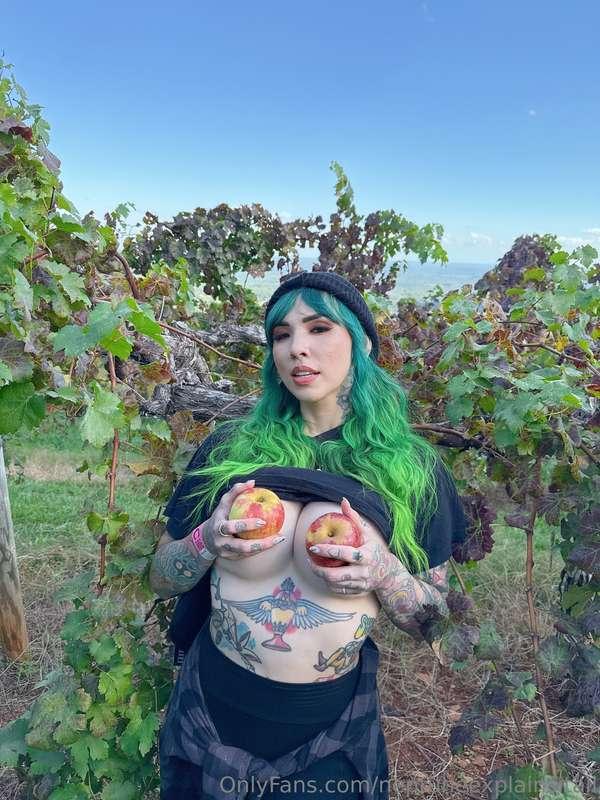 Next set of cute little apple orchard pics are here! I hope ..