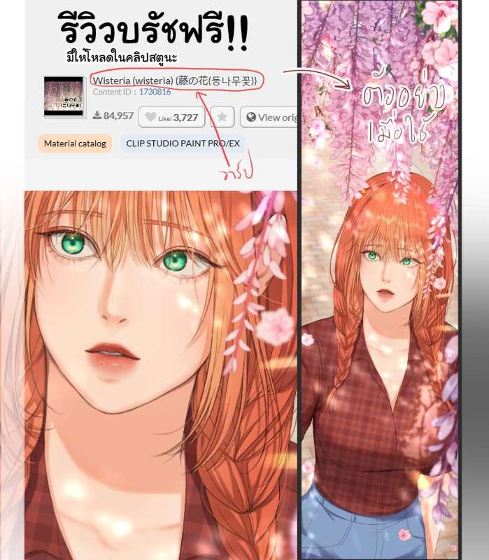 รีวิวบรัช