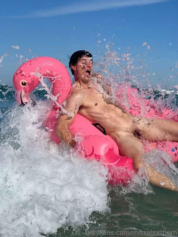Sam looking majestic as fuck on his flamingo. Couldn’t decid..