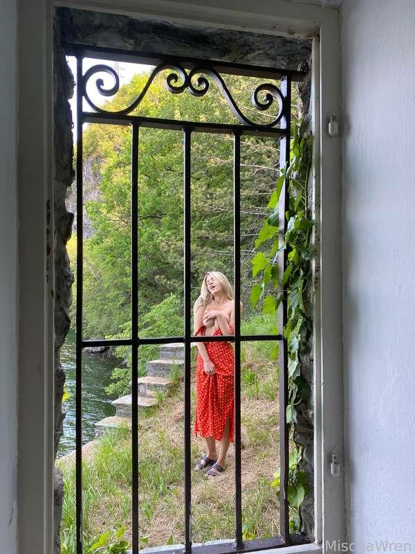 mischagoeswild image #2