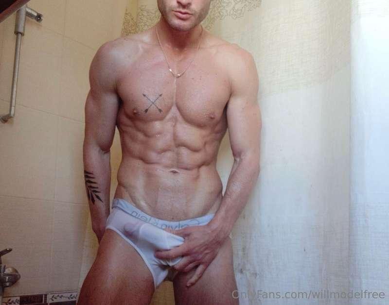 willmodelfree image #0