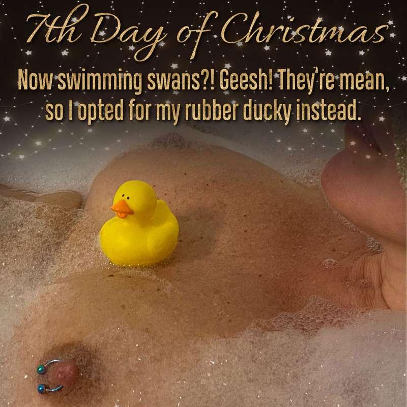 🎄12 Days of Christmas - Day 7: Now swimming swans?! Geesh! T..