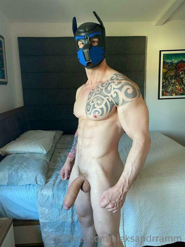 aleksandrramm image #4