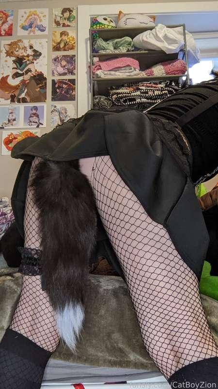 catboyzion image #3