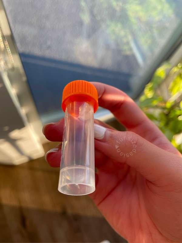 TIL what I found in my panties one morning (and what you're ..