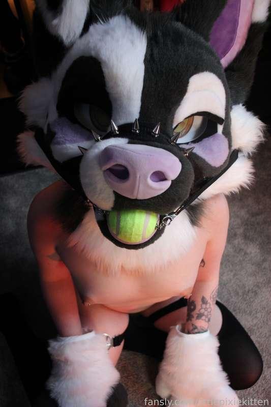 littlepixiekitten image #13