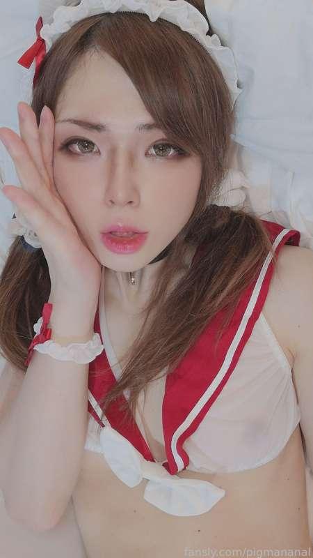pigmananal image #27