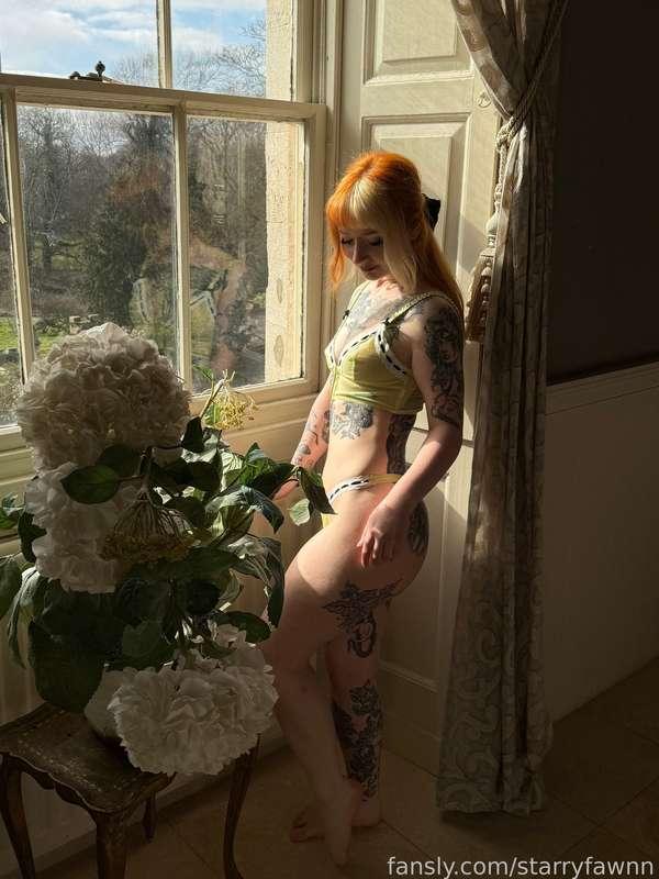 starryfawnn image #22