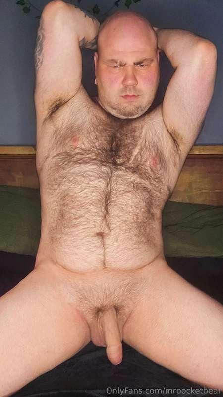 mrpocketbear image #1