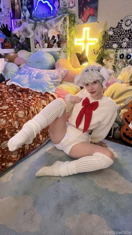 indigowhite image #72