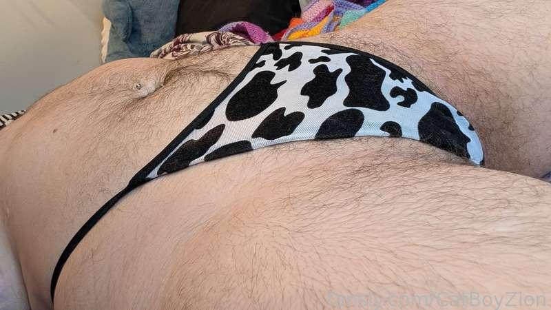 catboyzion image #18