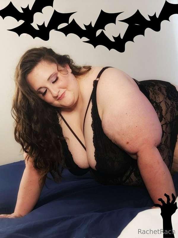 🦇🦇🦇