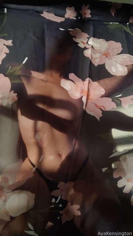 ayakensington image #8