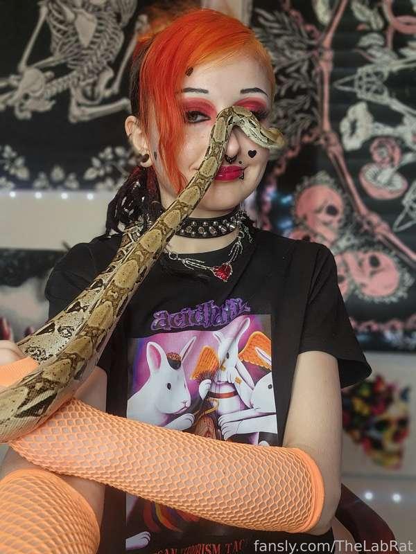 thelabrat image #4