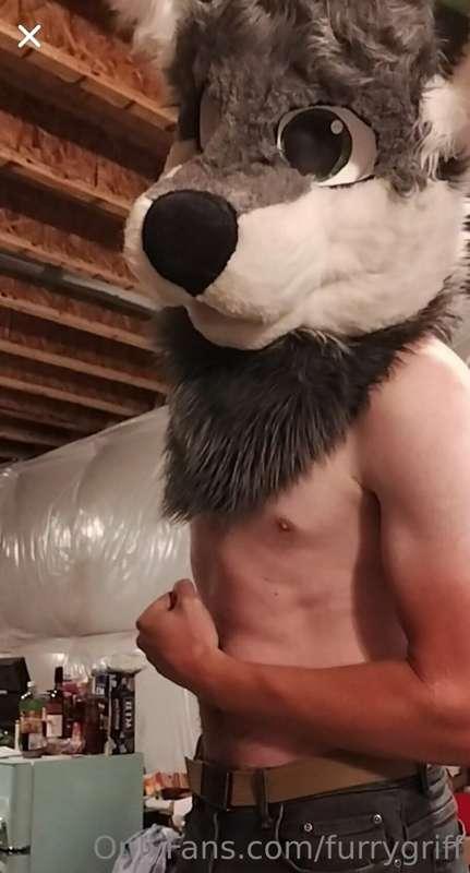 Just a wolf doing wolf things.