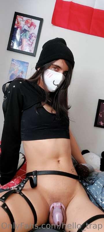 hello_trap image #7